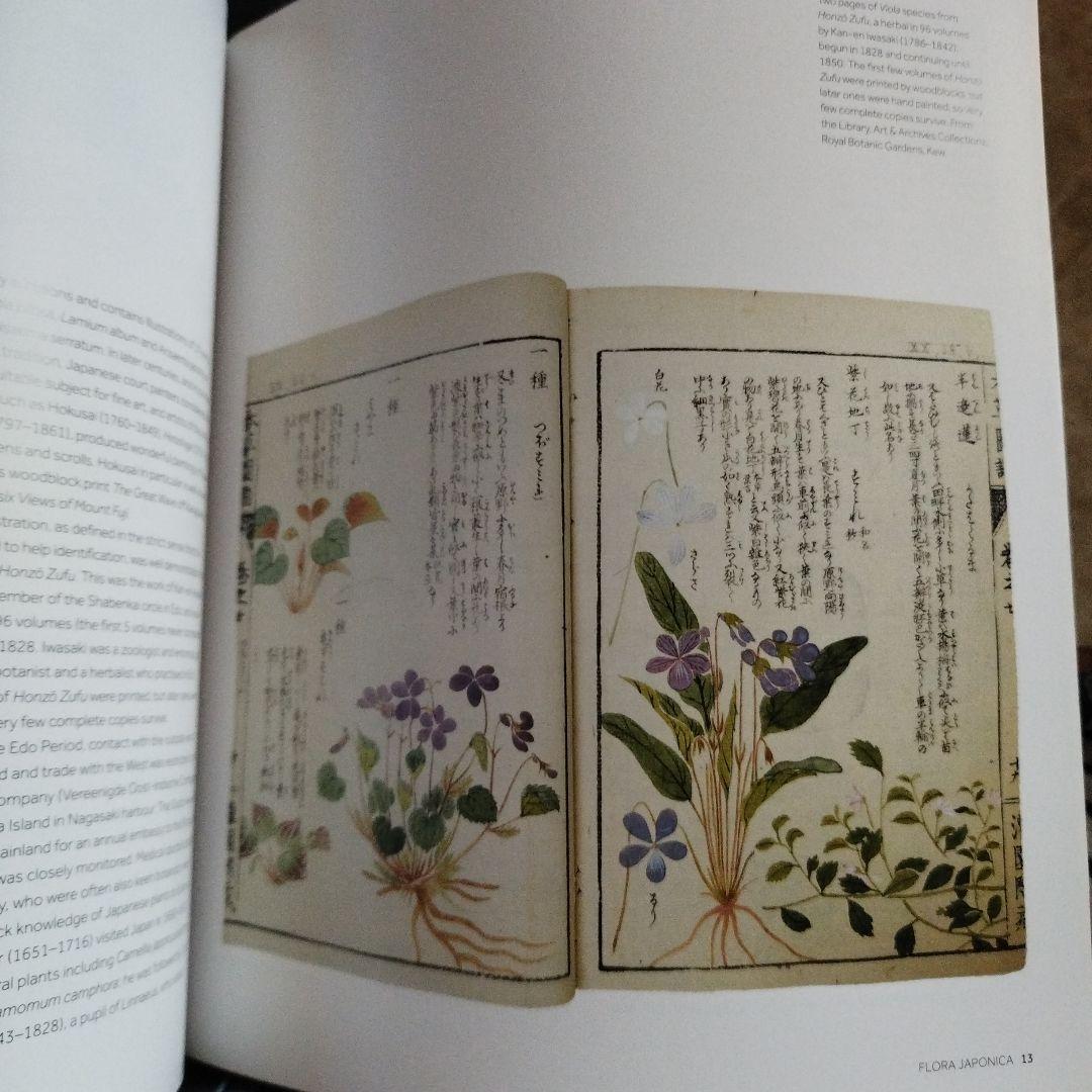 FLORA JAPONICA 日本植物誌　2016年 252P SC