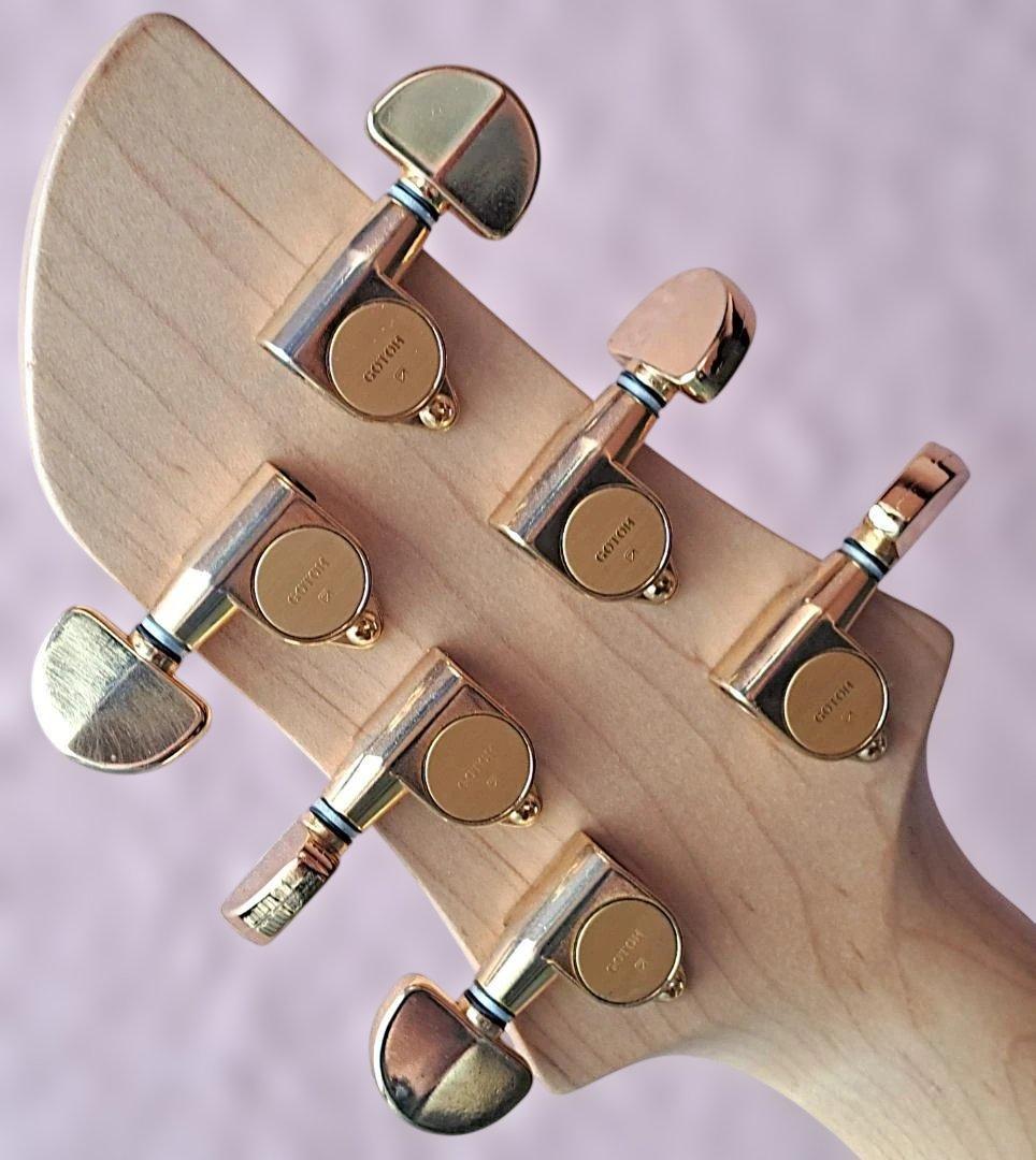 ■FERNANDES APG 85S 美品 SUSTAINER サスティナー