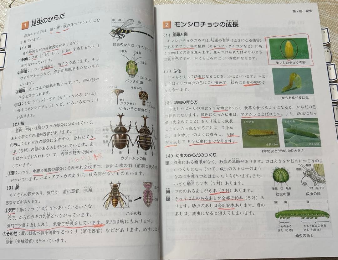 予習シリーズ 4年 上 下 春期 夏期 冬期講習 早稲田アカデミー 四谷大塚