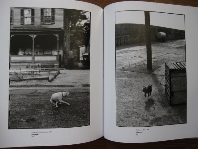 アート・デザイン・音楽 Elliott Erwitt Personal Exposures