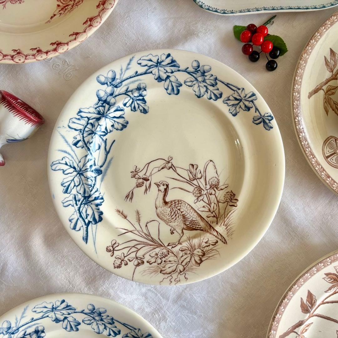 フランスアンティーク˚✧₊ クレールフォンテーヌꕤ︎︎ 鳥さんコンポティエꕤ︎︎ レア✧