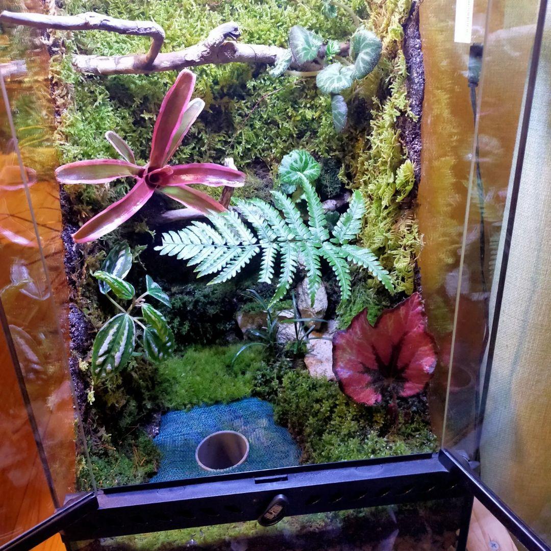 隠れ家付き！大自然の中の飼育箱、