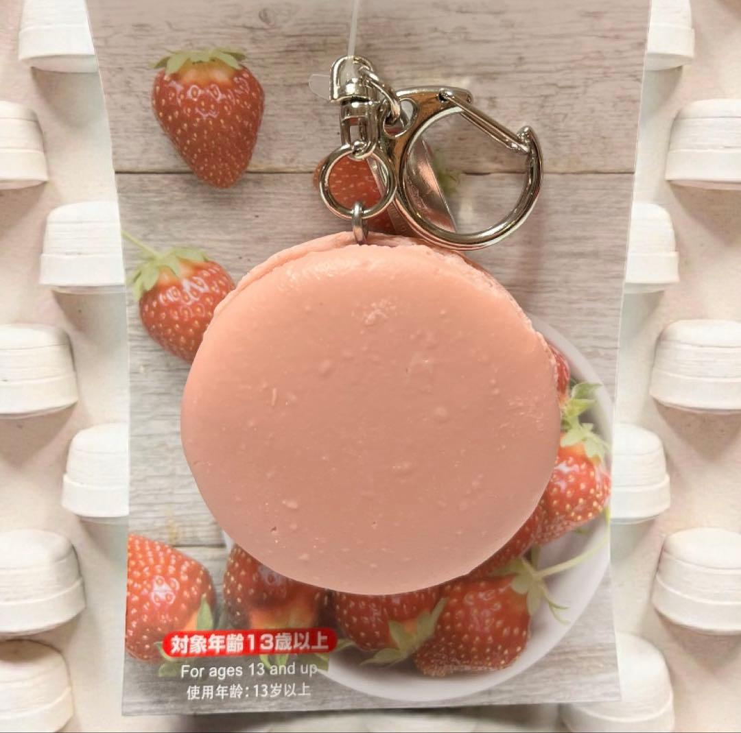 食品サンプル　いちごチョコっとミラー＆キーリングチョコケーキ、マカロンのいちご