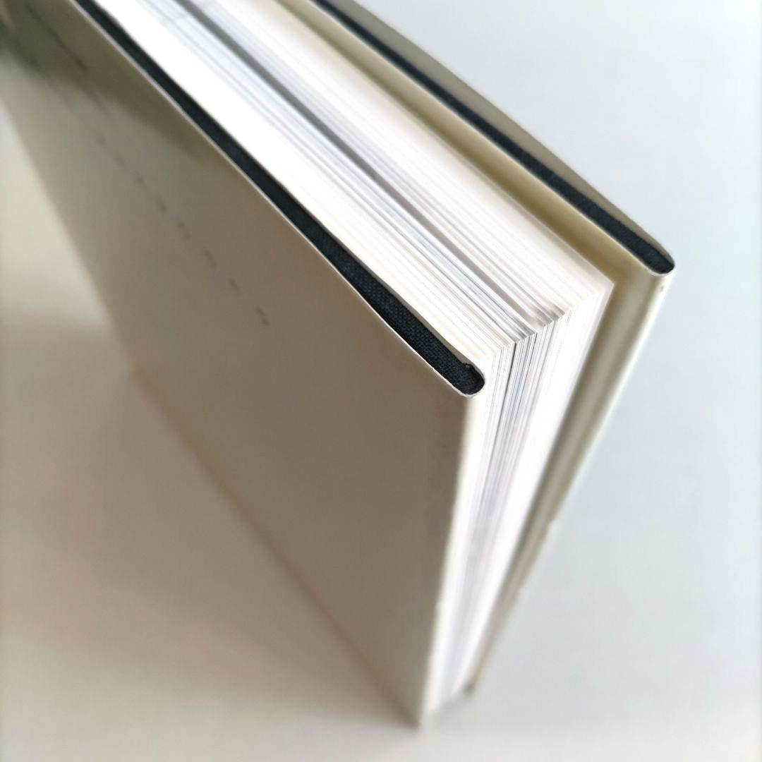 Picasso and the Age of Iron/ピカソ 鉄彫刻 作品集