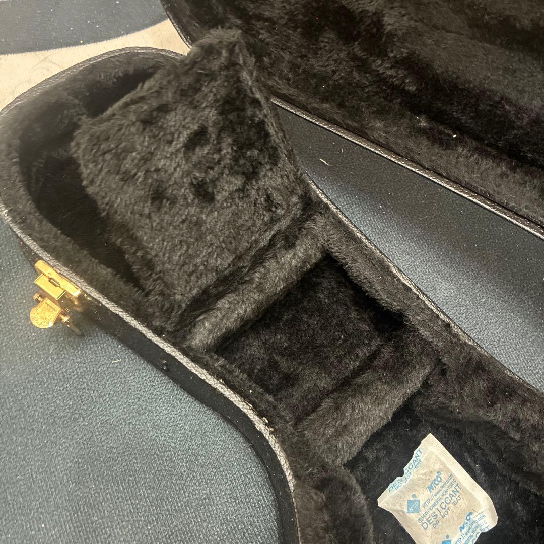 Savannah フラットマンドリン　ハードケース付き