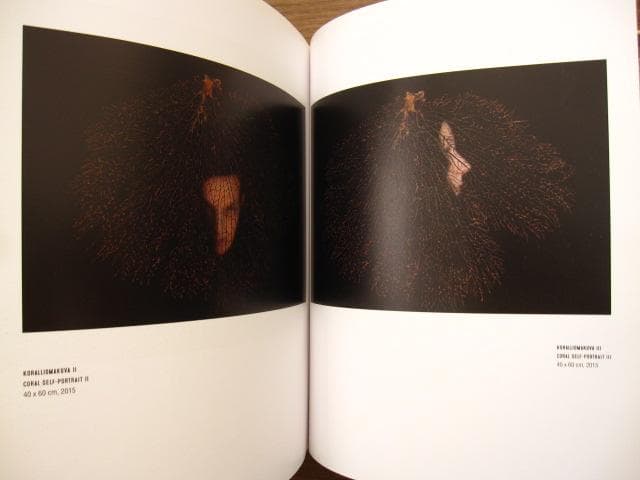 Kultakausi Golden age　Marita Liulia