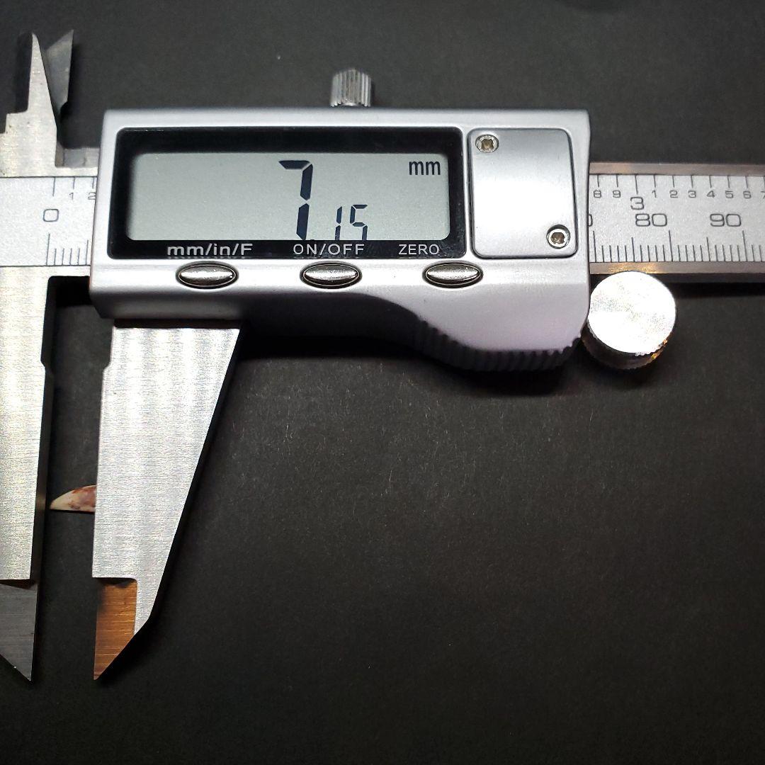 希少 コエロフィシス 化石 歯 恐竜 本物  7.15mm fr81