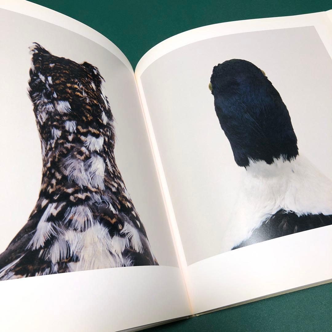 bird by RONI HORN ロニ・ホーン作品集