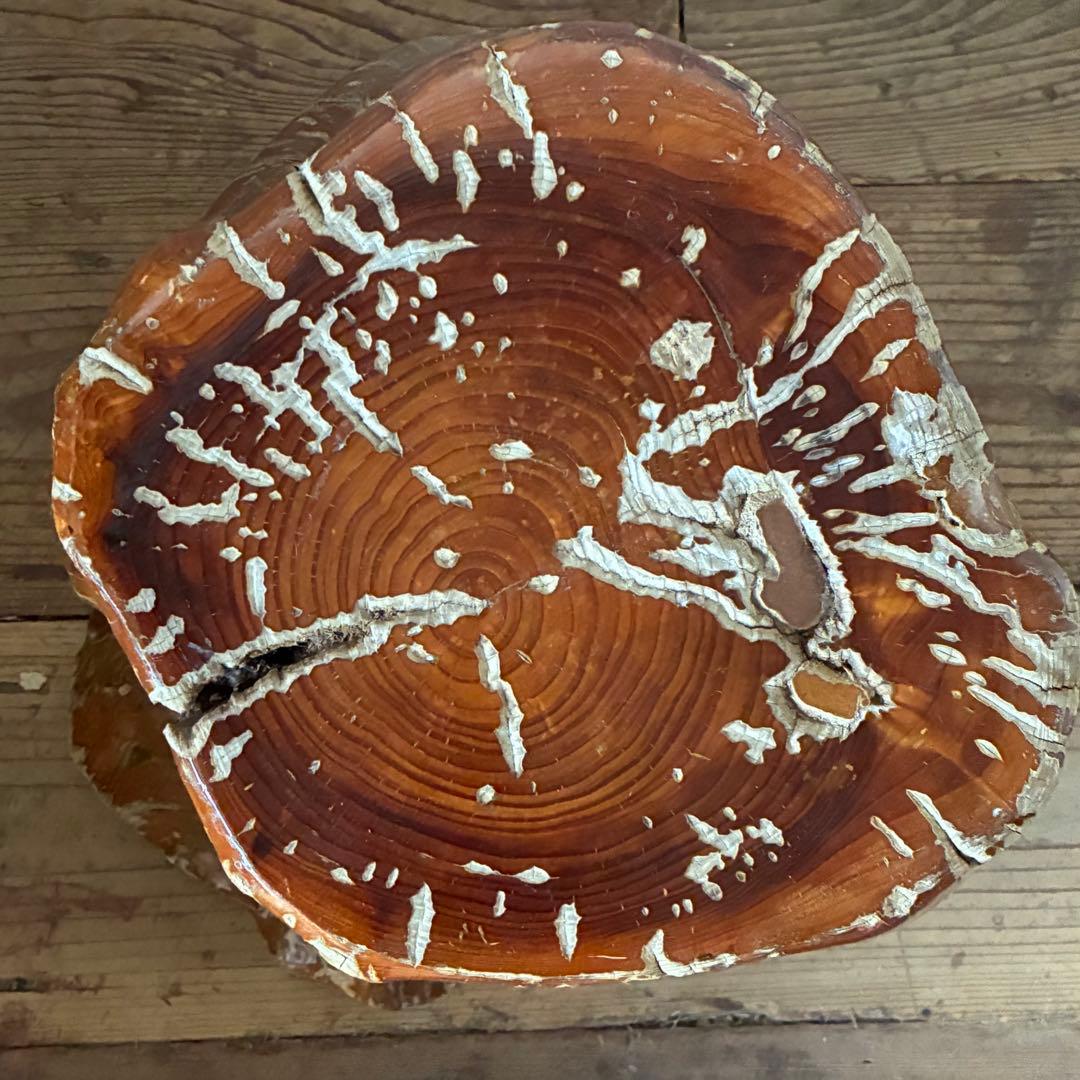 ヴィンテージ 天然木 切り株 根張り スツール プランター サイドテーブル