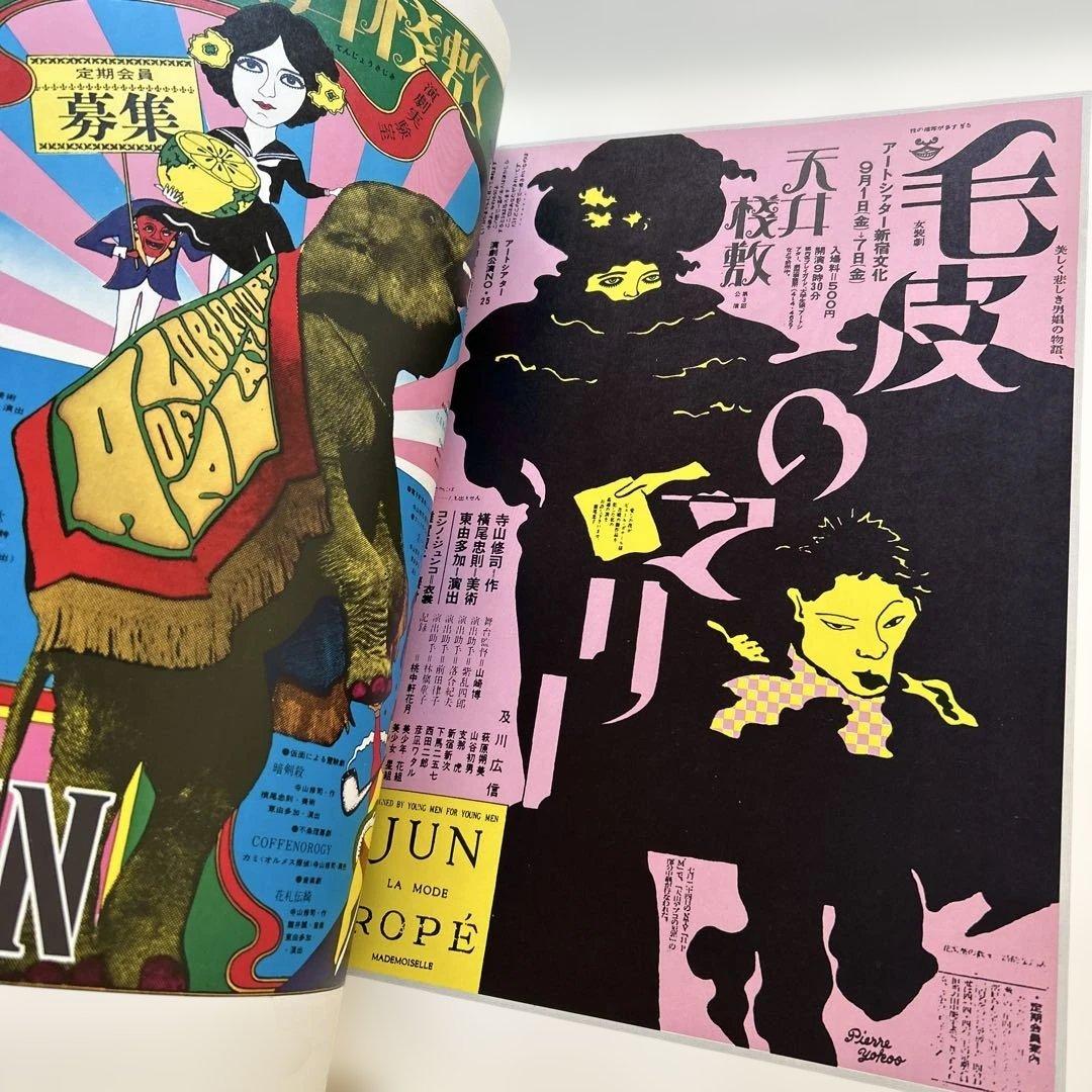 TADANORI YOKOO ポスター集とCOSMOS MOMOE