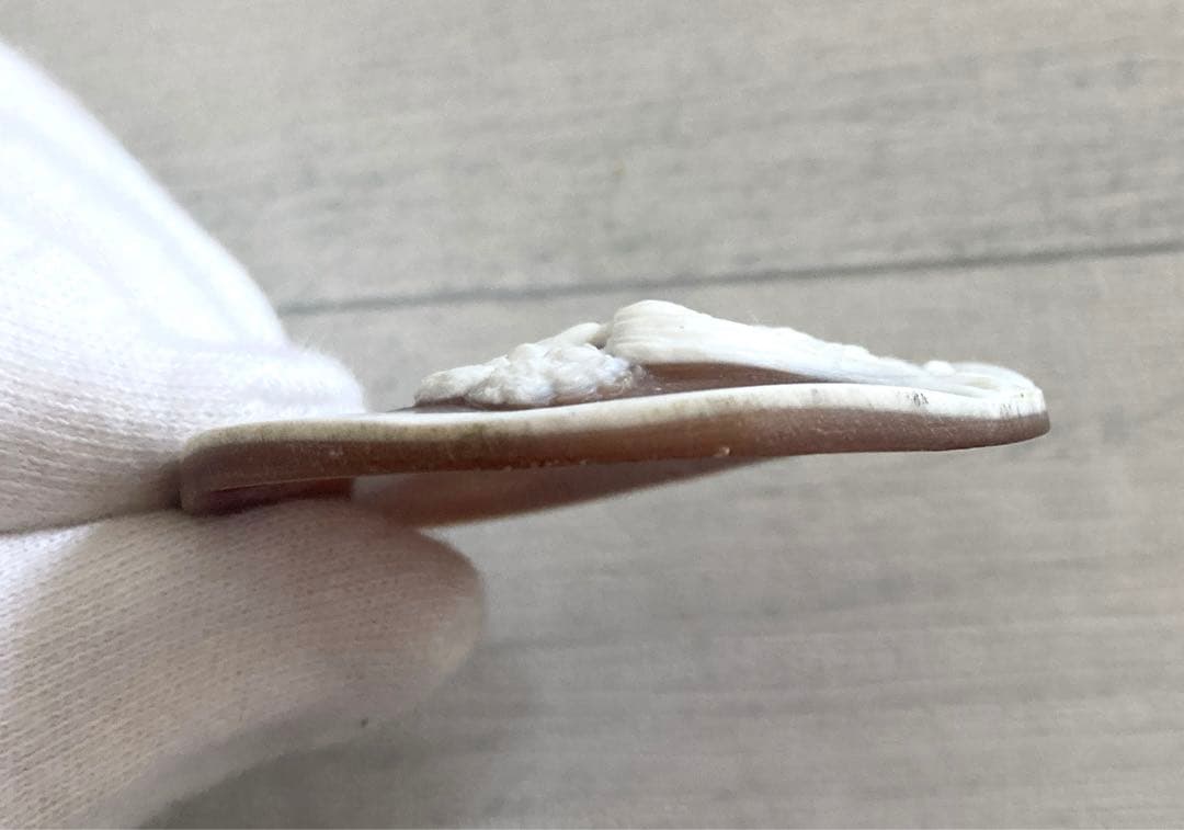 カメオ　シェル　ルース　母親と子供