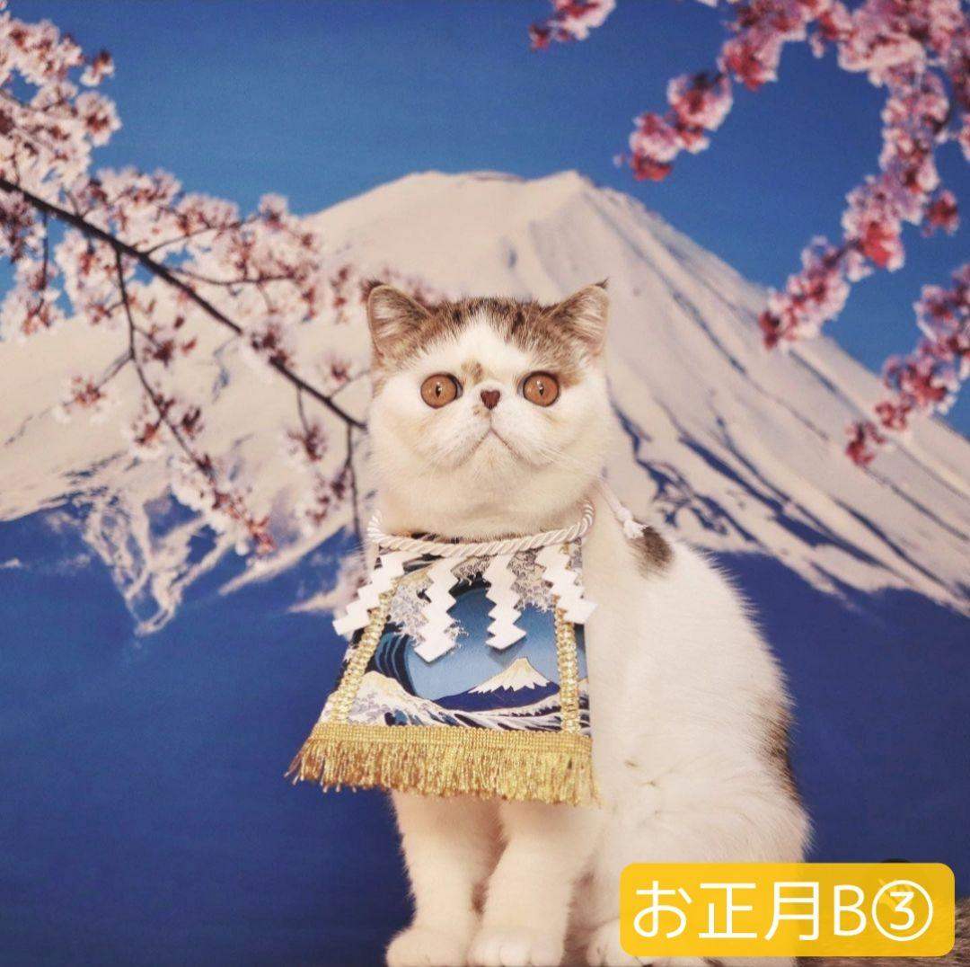 背景布【お正月F】サンプル　年賀状、ペット、子供撮影用　梅　和柄　門松　しめ縄