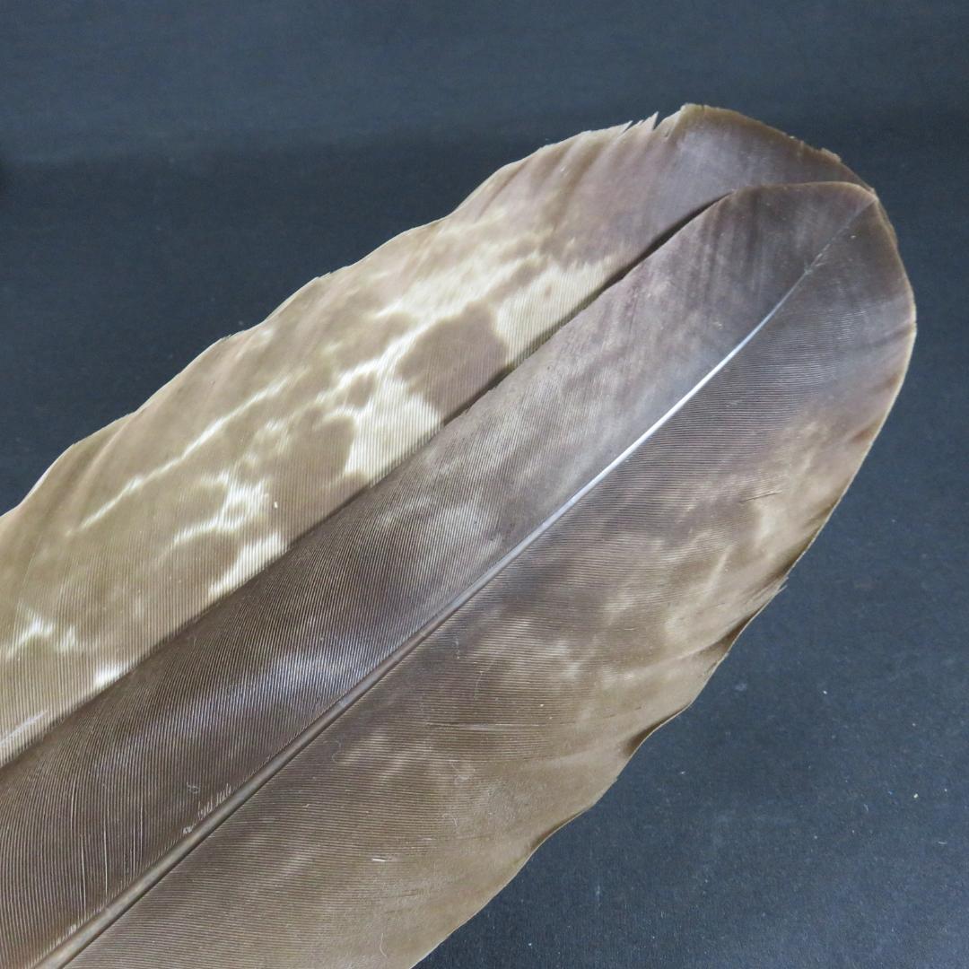 羽箒 茶道具 紙箱 鳥 羽根 茶の湯 お茶道具 お点前 手習い