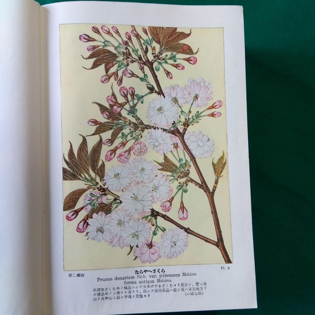 【古書・希少・レア】牧野日本植物図鑑（改訂版）牧野富太郎　北隆館