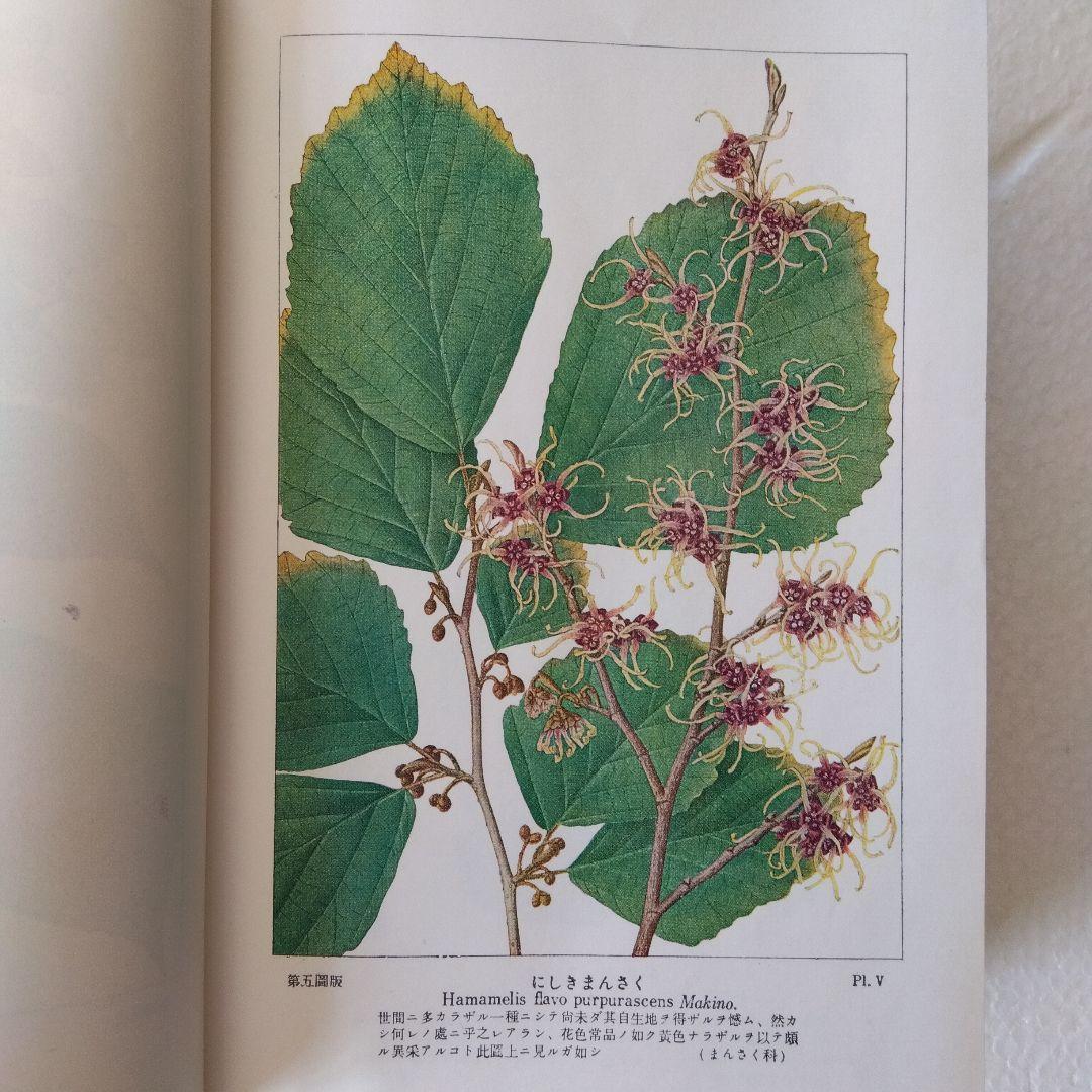 【古書・希少・レア】牧野日本植物図鑑（改訂版）牧野富太郎　北隆館