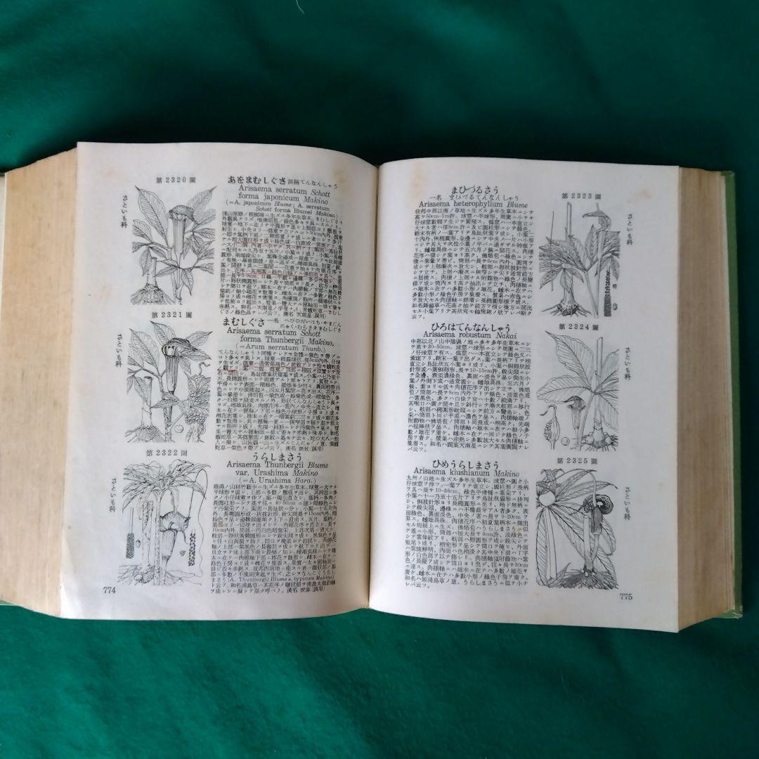 【古書・希少・レア】牧野日本植物図鑑（改訂版）牧野富太郎　北隆館