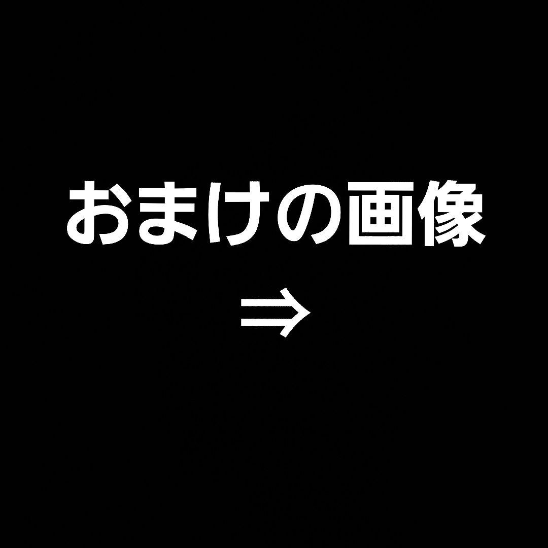 値下げ！/ピン SHEA スコッツデールTRアジャスタブルタイプパター/おまけ付