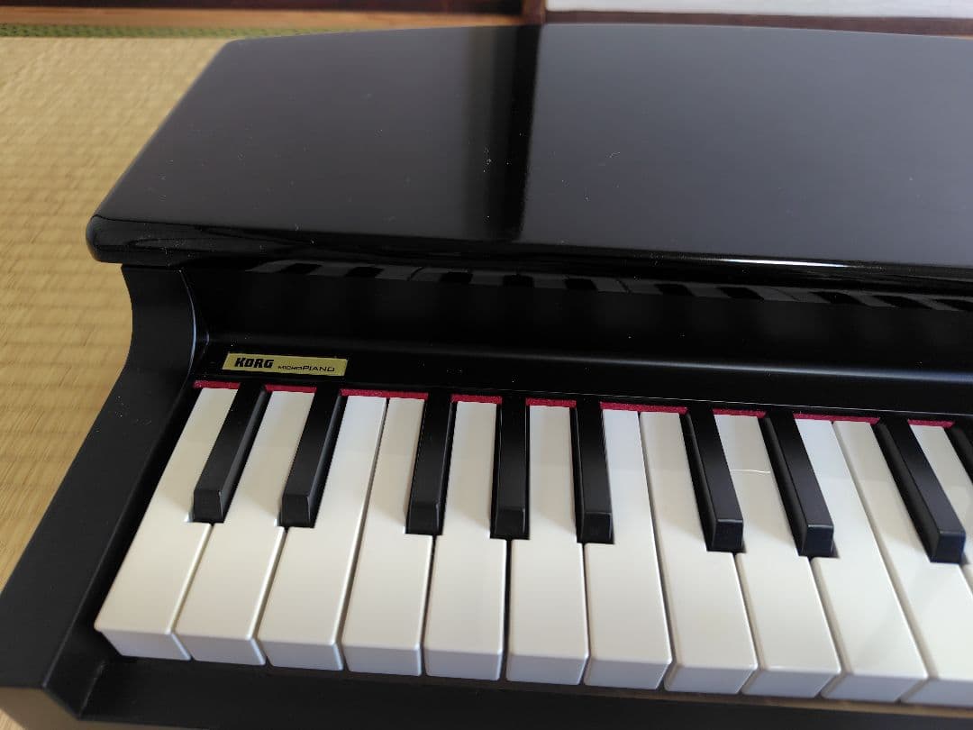 KORG MICRO PIANO 61鍵 黒 電子ピアノ
