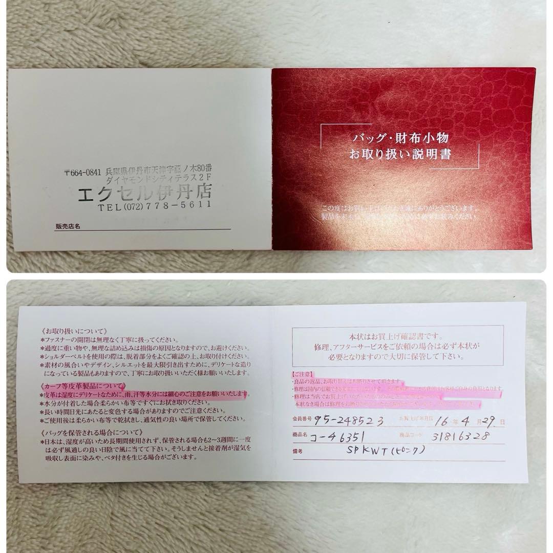 美品✨COACHコーチ　アクセサリーポーチ　6351 シグネチャー　希少カラー