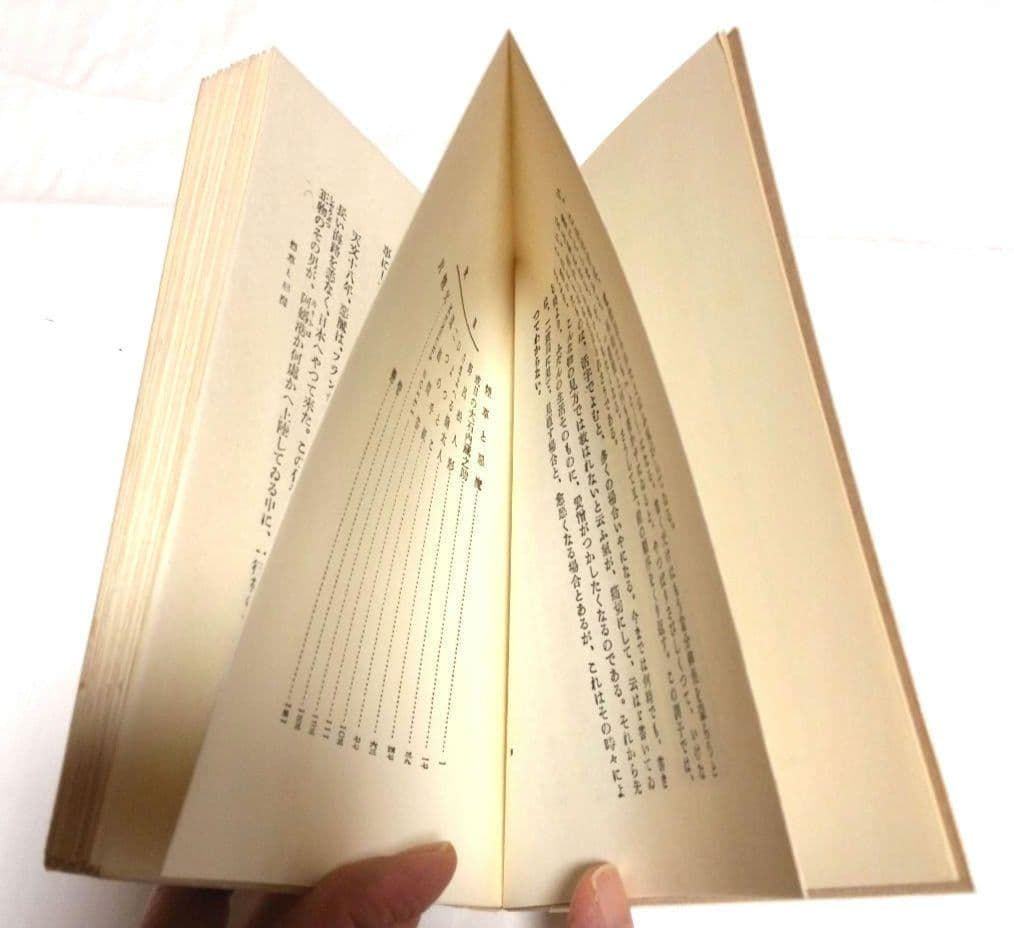 名著 複刻 芥川龍之介 文学館 全集 全22点 解説書付き　全巻収容の化粧箱付き