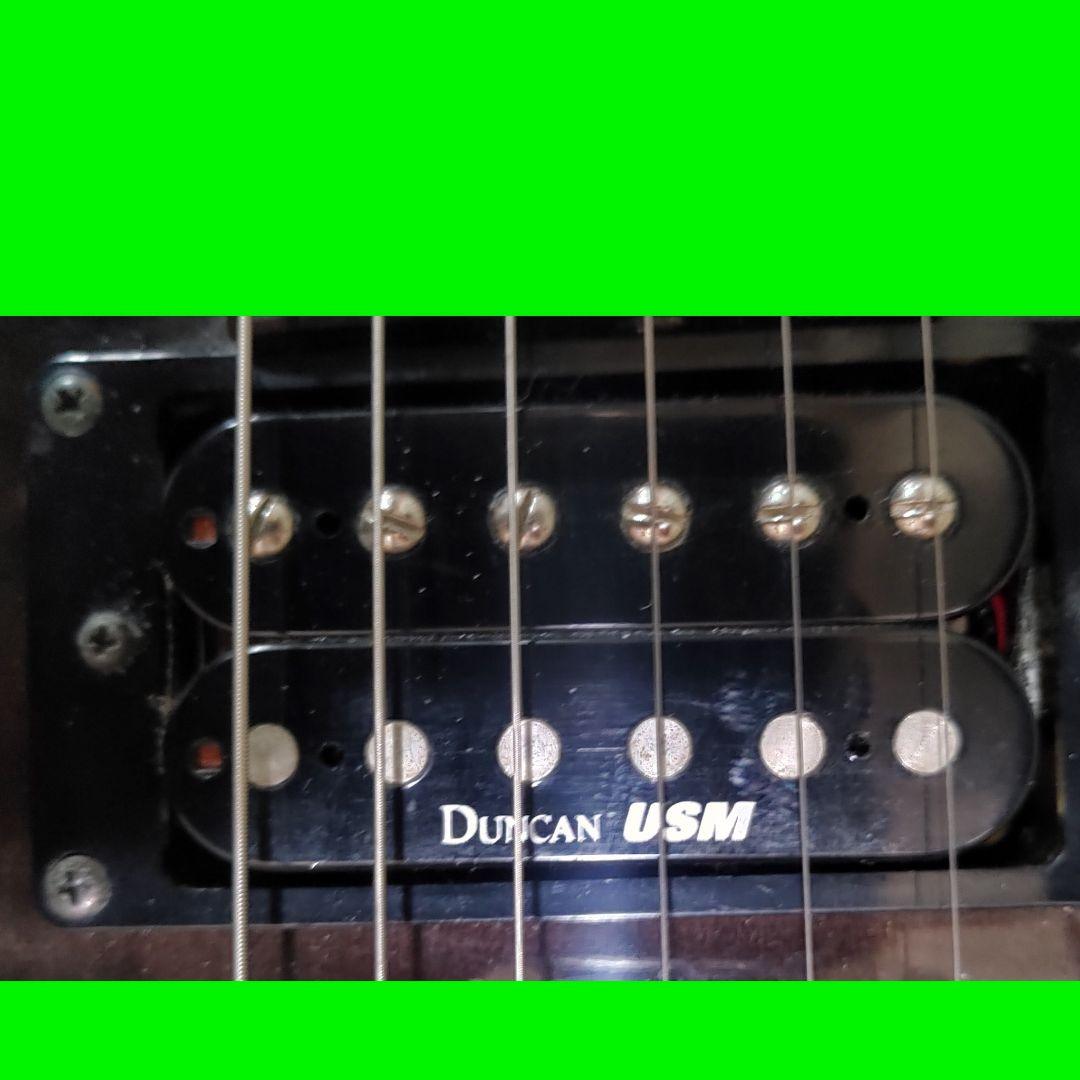 ち*た様 Washburn エレキギター ケース、アーム付き