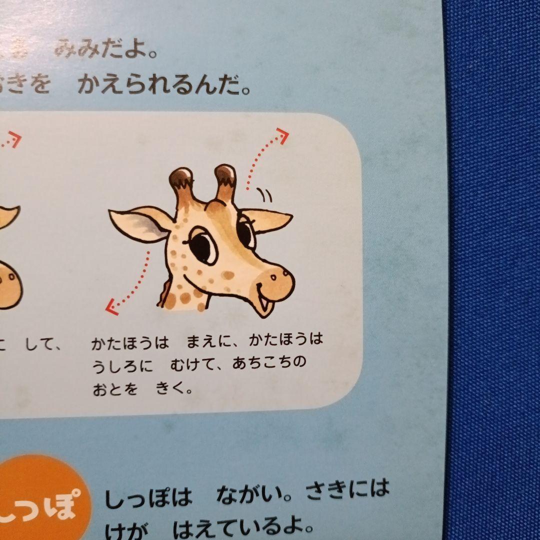 かがくのとも　ビッグサイエンス　キンダーブックしぜん　きりんさんの絵本