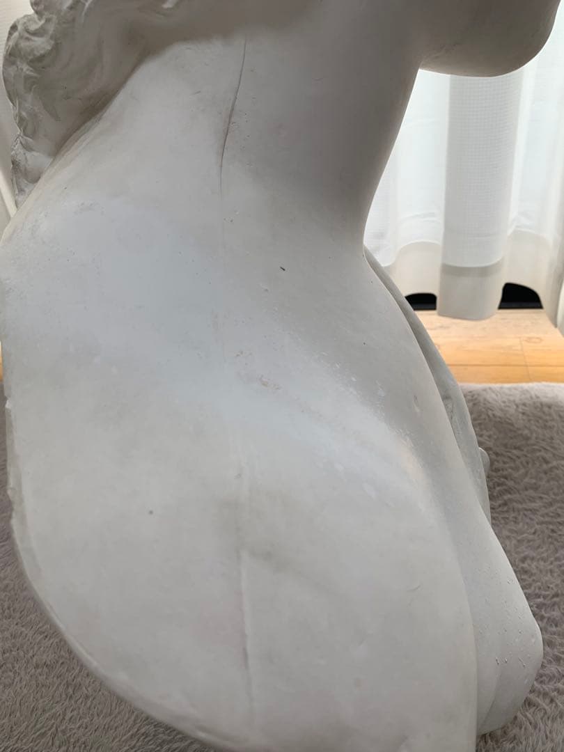 石膏像　デッサン　胸像　アマゾン