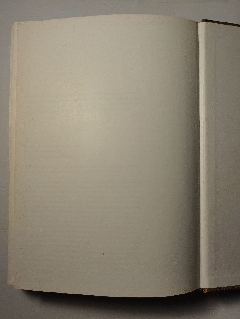 Juergen Teller GO-SEES ユルゲン・テラー 写真集