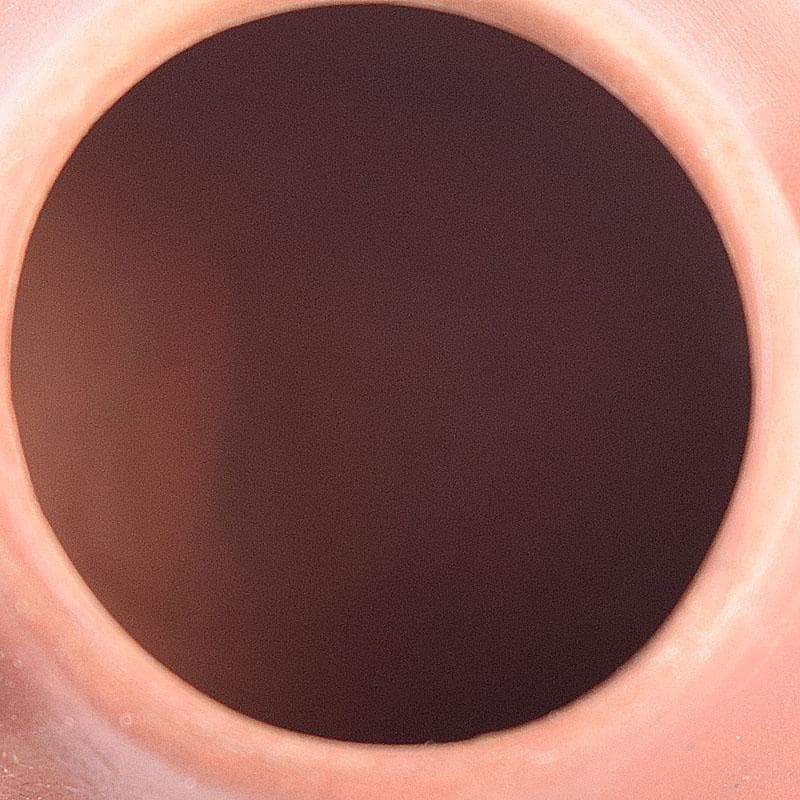 中国　紫砂　朱泥　小さな急須　茶壷　在銘　C　R7935