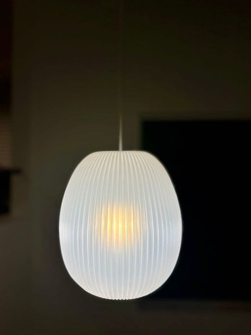 仏70年代　Aloys F. for Erco ヴィンテージ・ペンダントランプ