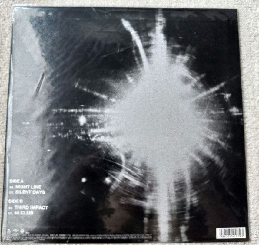 The Birthday LPレコード 2枚