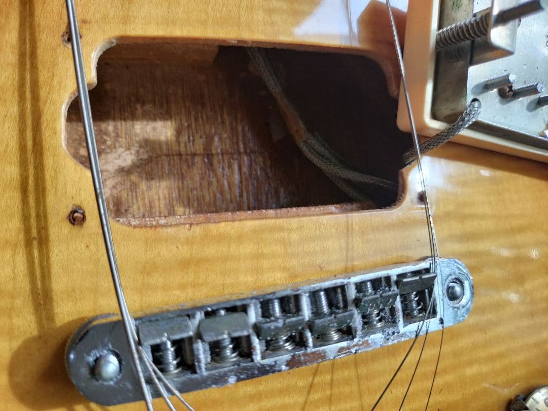 Greco☆’77年製レスポール トラ杢 ほぼオリジナル Tokaiギグバッグ付