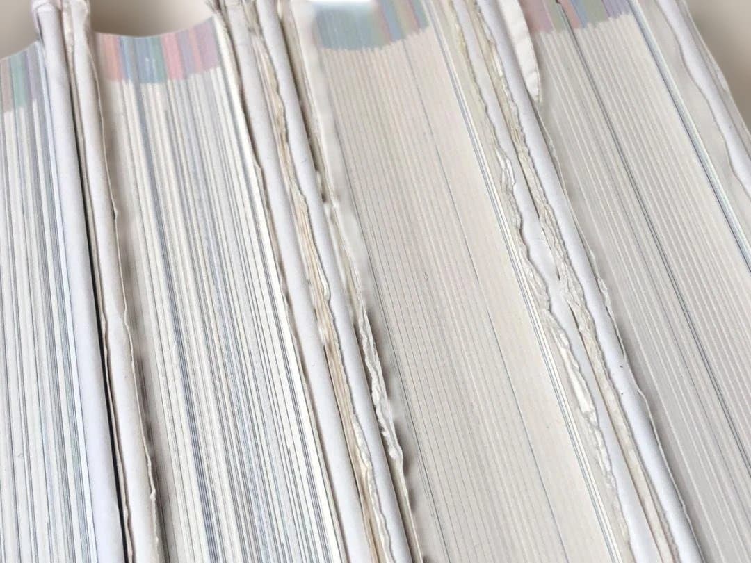 【17冊セット】小学館の図鑑NEO