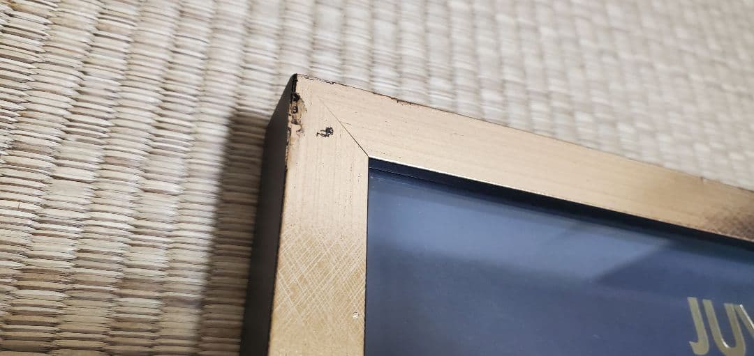 d*7様 500個限定 ユベントス 22名　サインユニホーム ジダン デルピエロ