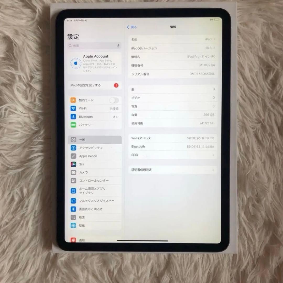 【完動品】iPad Pro 11インチ 256GB 【すぐ発送】