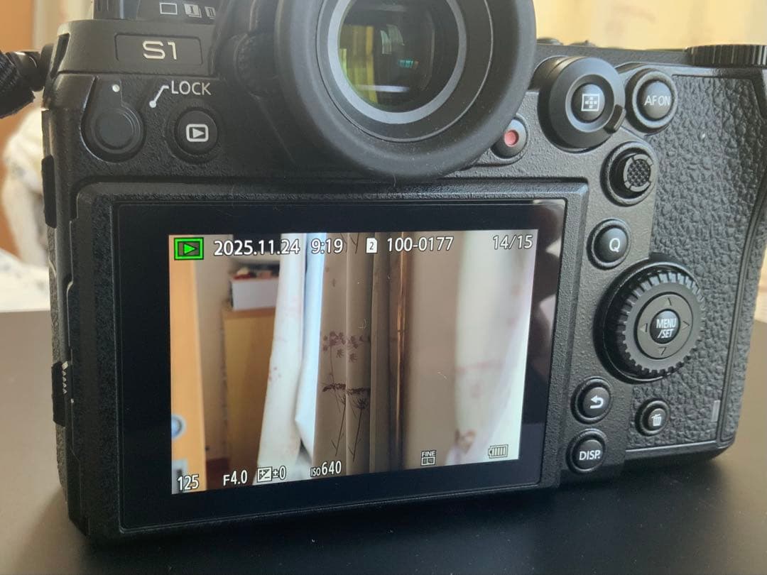 LUMIX S1 【有償アップグレード済】