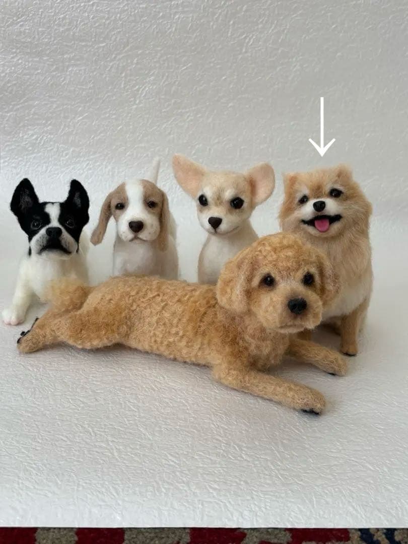 羊毛フェルト犬: 手のひらサイズポメラニアン/ハンドメイド