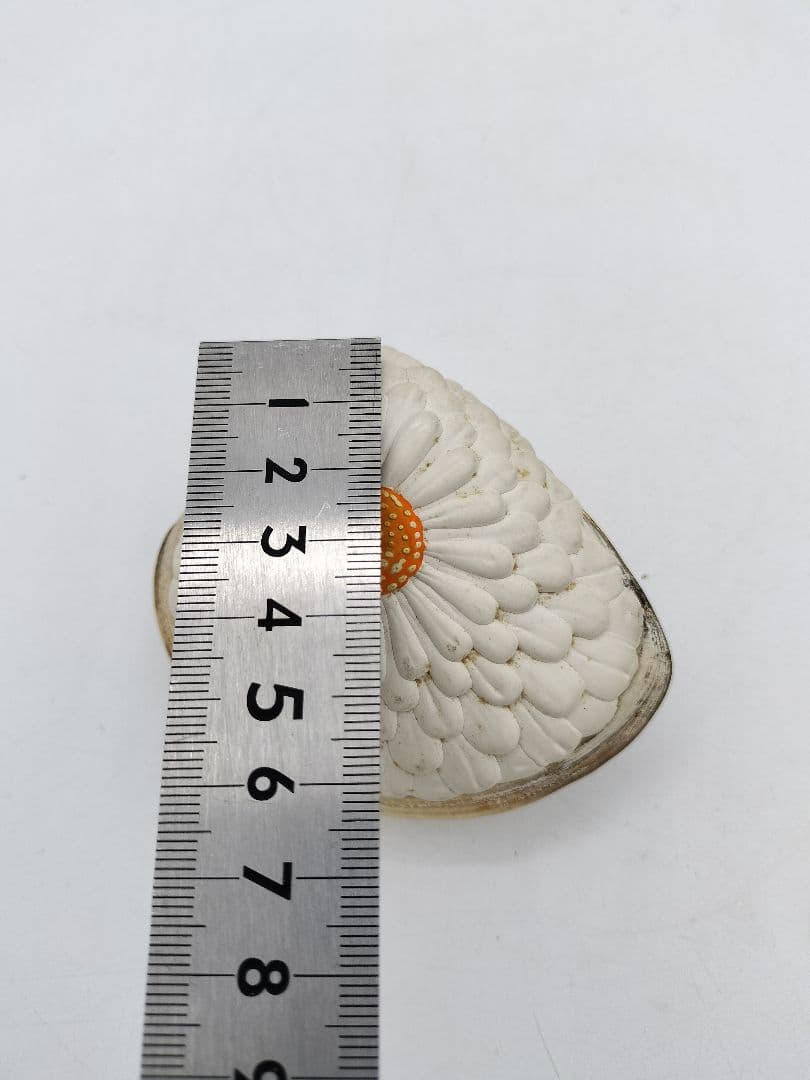 c453 貝香合 置上蛤 有職　島津豊泉 木箱 茶道具 古物