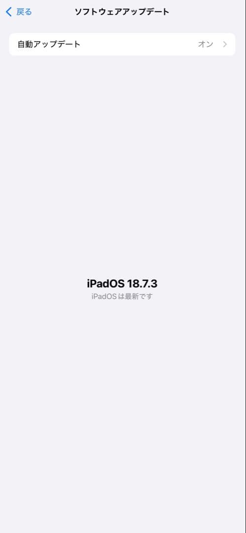 iPad 第7世代 Wi-Fi + Cellular シルバー バッテリー99%