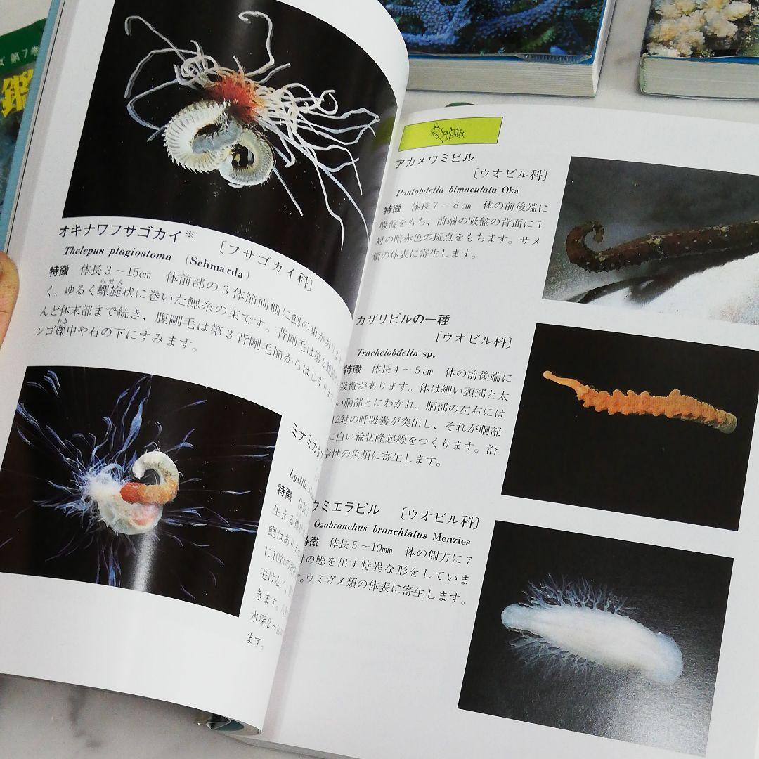 沖縄海中生物図鑑　全巻（11冊）セット。