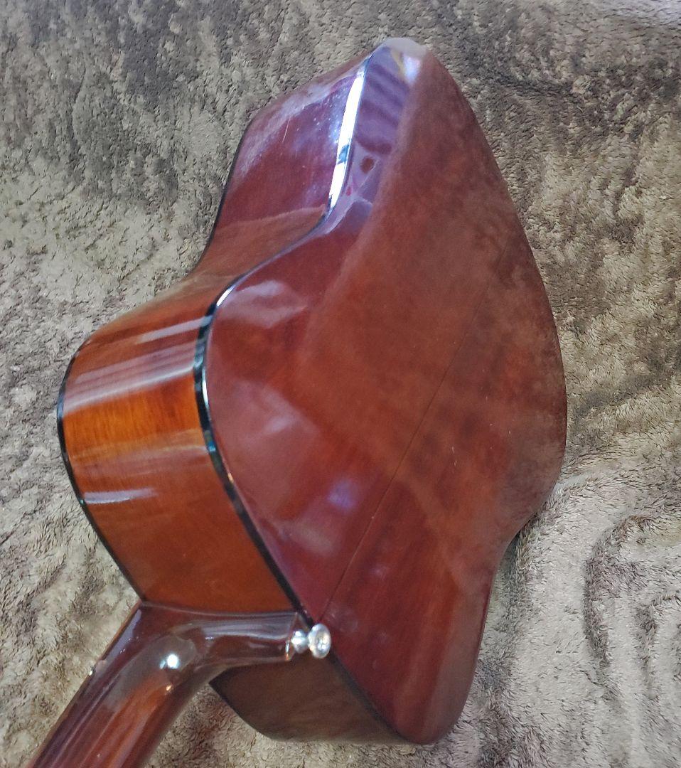 Takamine Elite TW-13 タカミネ エリートD-28 コピー