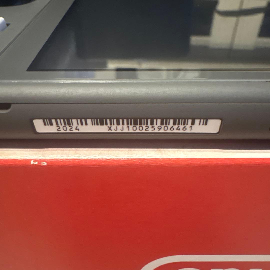 Nintendo Switch Lite グレー　ケース・保護カバー付き