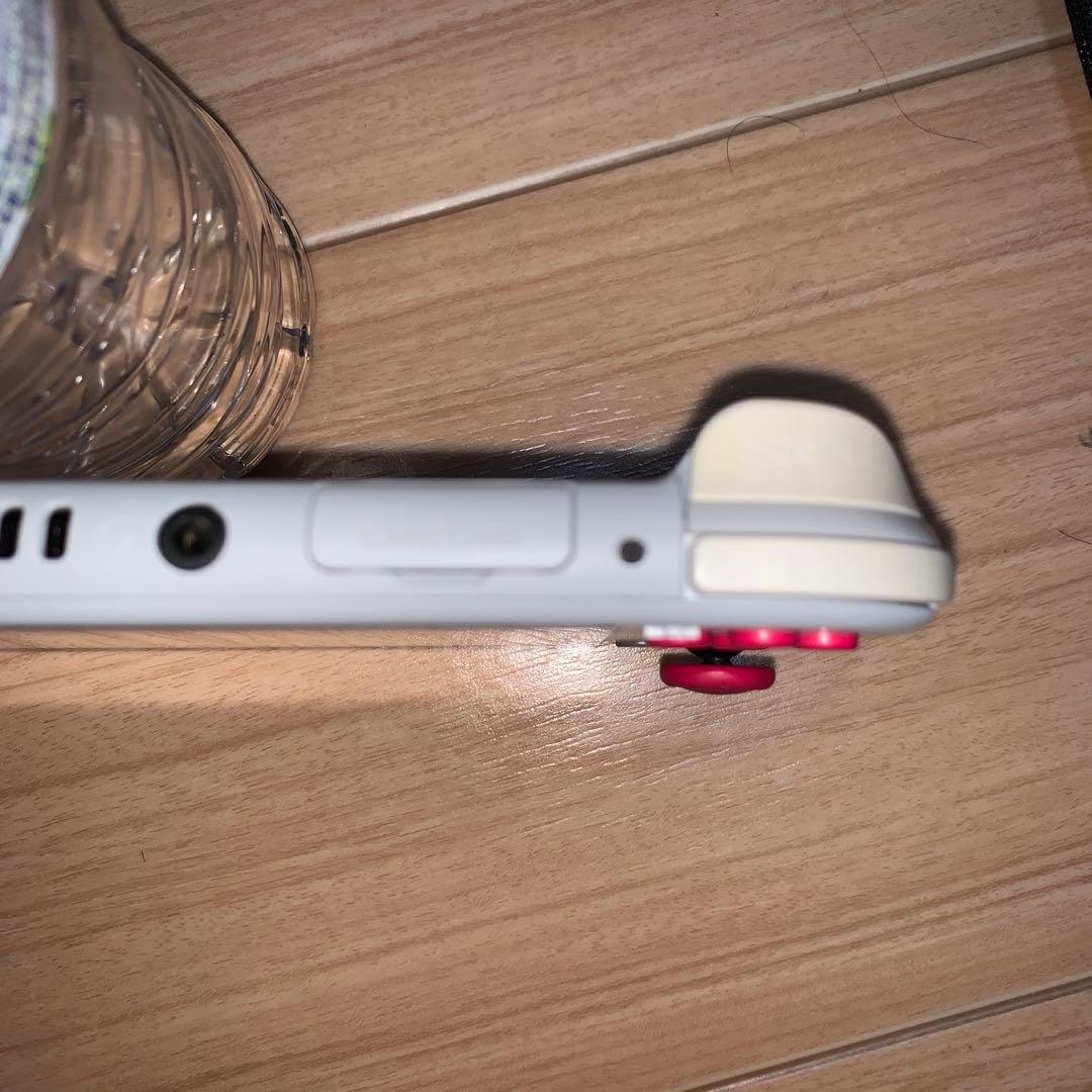 Nintendo Switch Lite ザシアン ザマゼンタ （本体のみ）