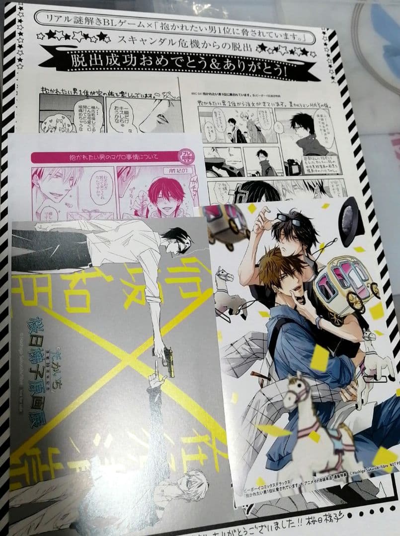 抱かれたい男一位に脅されています　だかいち　小冊子　ブックレット　リーフレット