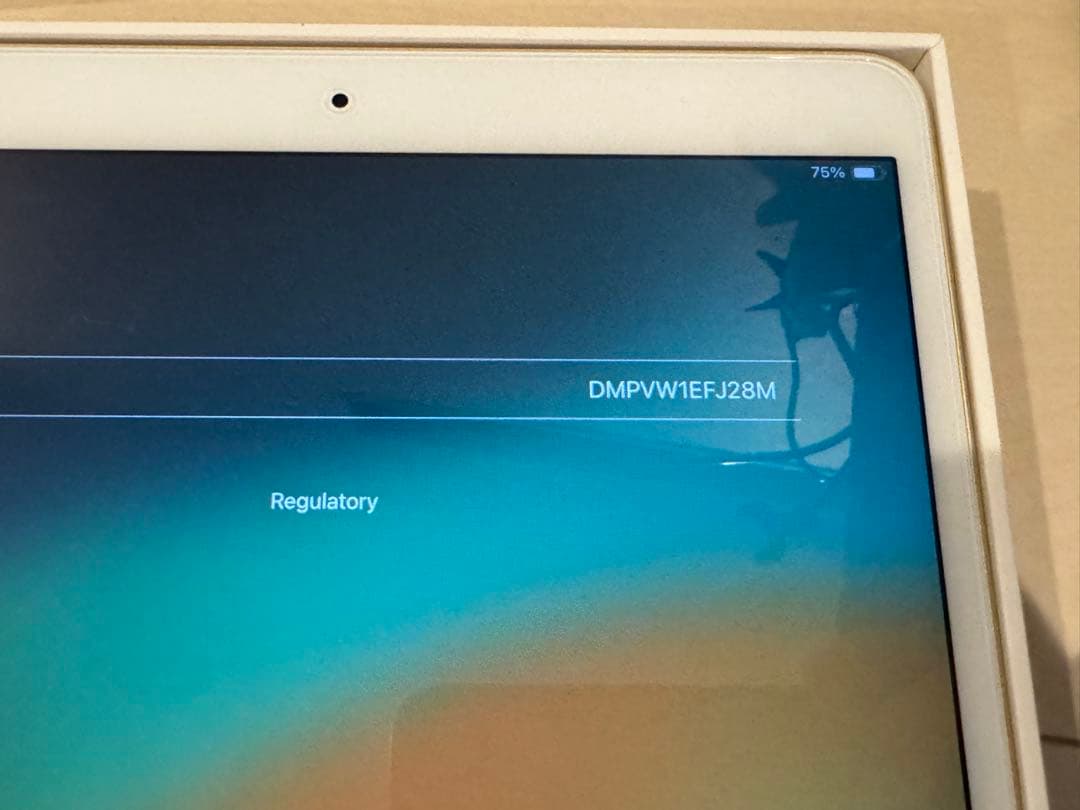 iPad pro 10.5インチ 64GB ゴールド