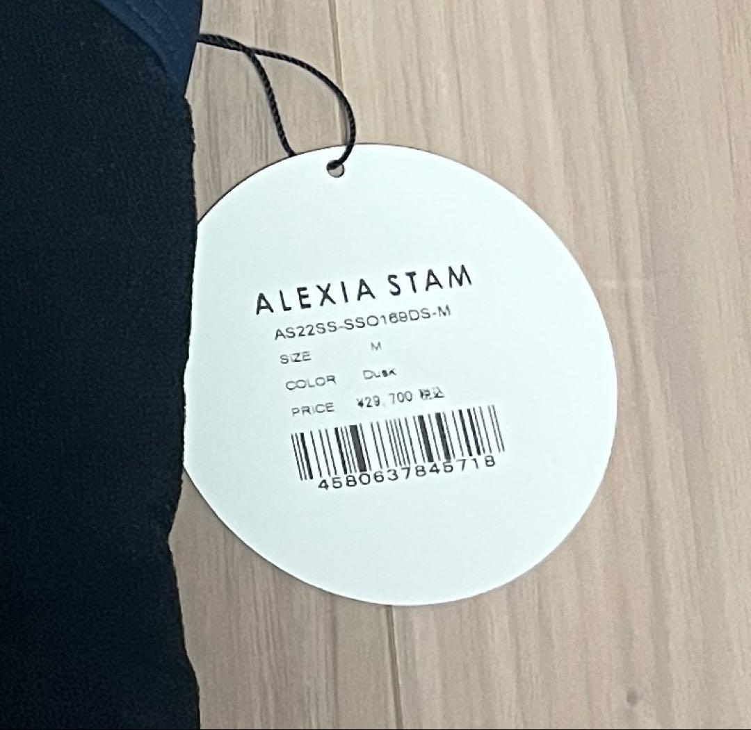 最終処分価格❗️SEA×ALEXIASTAM コラボビキニ