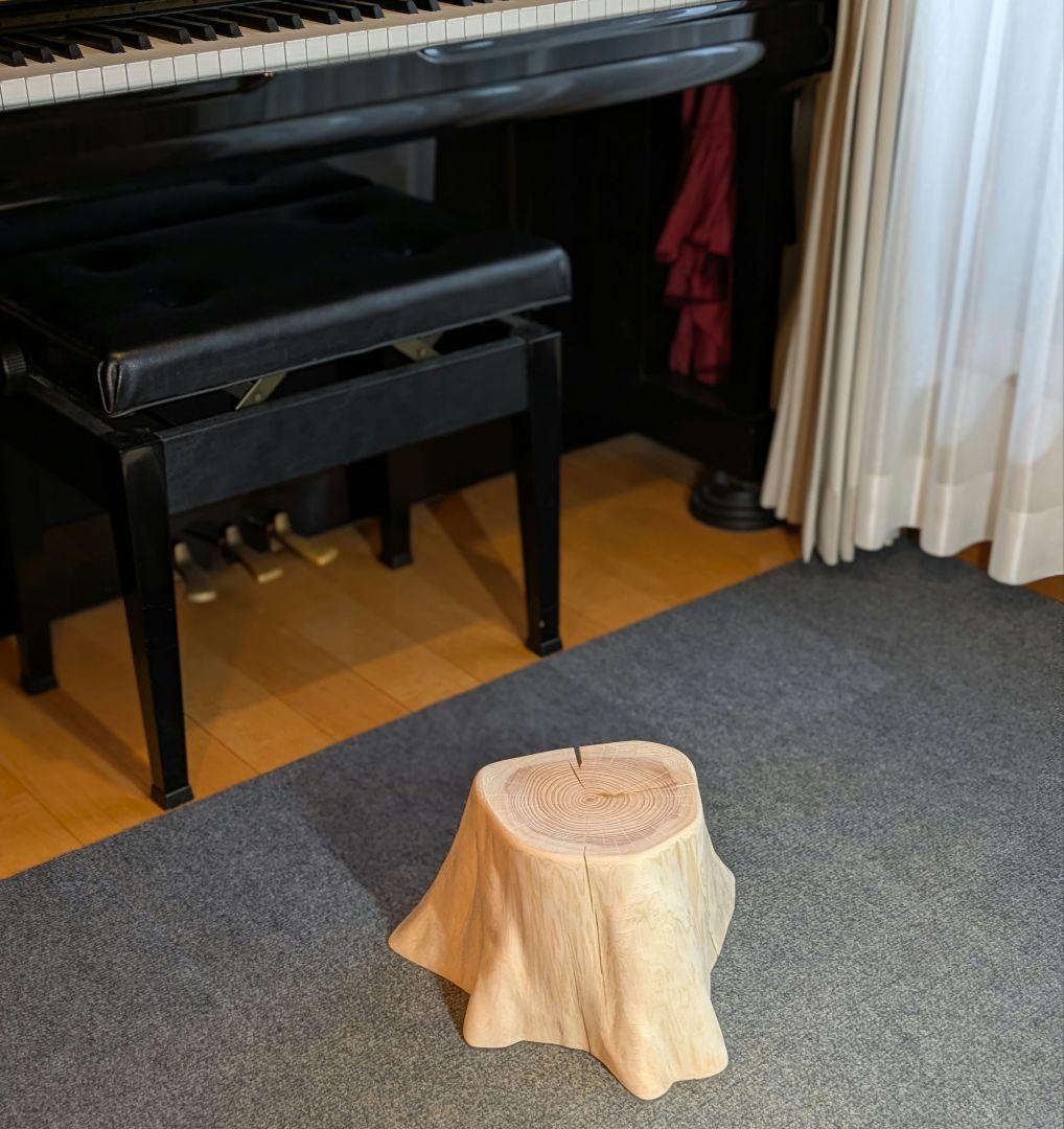 檜　切り株　高さ約19.5㎝