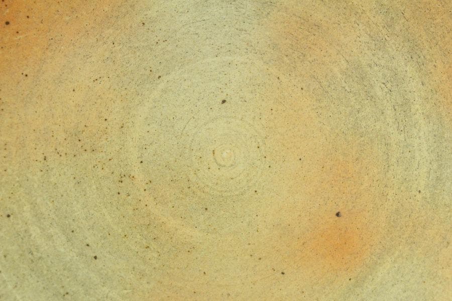 中国美術 青花 枝果紋 皿 φ42.3cm(BB509)