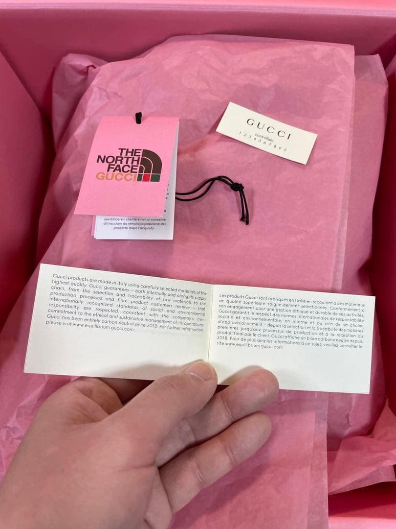 GUCCI x THE NORTH FACE グッチ x ノースフェイス コラボ