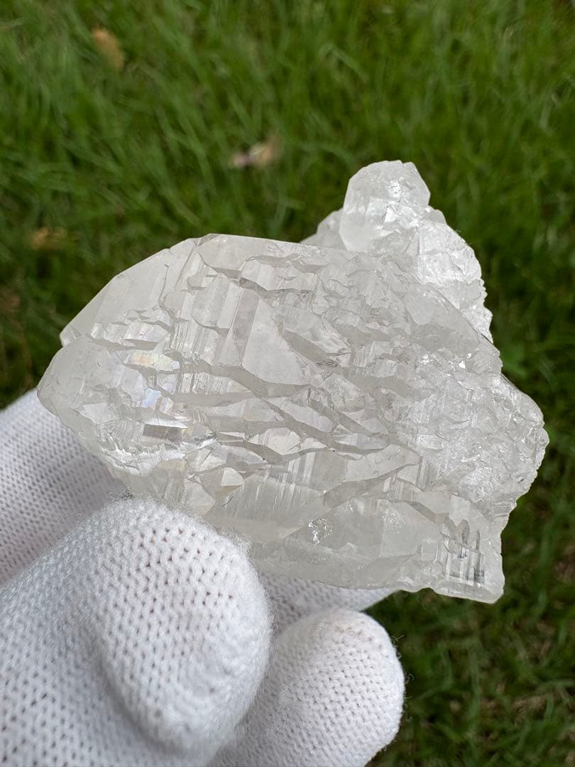 【匿名発送】パキスタン産グインデル